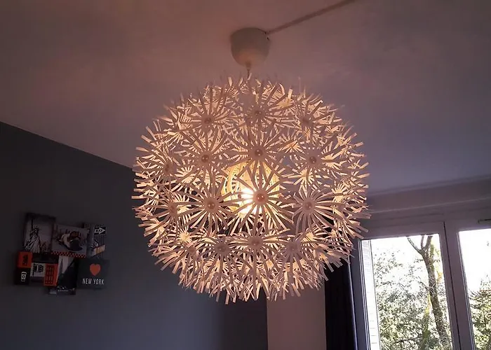 Daire Sweet Dijon-arquebuse