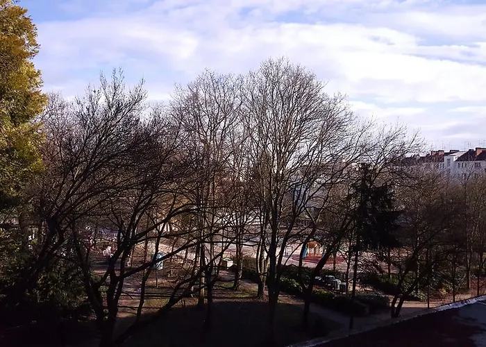 Daire Sweet Dijon-arquebuse *