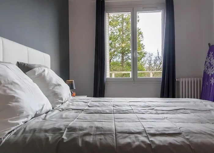 Apartament Sweet Dijon-arquebuse *